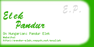 elek pandur business card